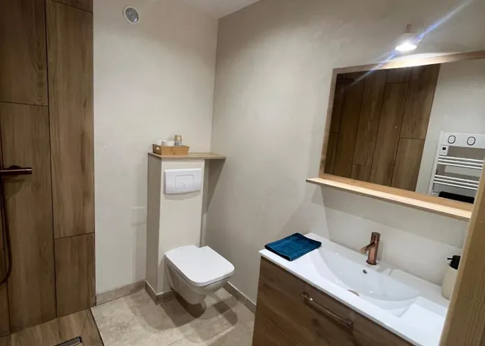 Six Duplex A La Montagne Pompiery * Seyne